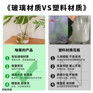 宽口矮花瓶矮款插花碗莲睡莲大口径透明玻璃水培器皿大号玻璃瓶大