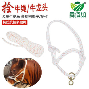 栓牛笼头绳牛龙头套牛用尼龙绳栓牛绳子牛缰绳套嘴加粗栓牛笼头套