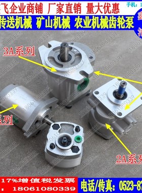 RGP-F306R/F308R/F310R/R312R/314R/F316R/F320R/F325R齿轮油泵RN