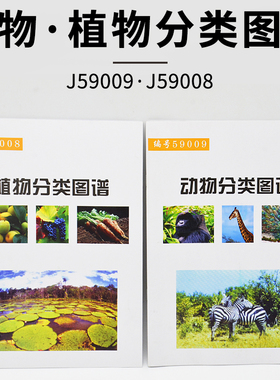 动物分类图谱J59009植物分类图谱J59008小学科学实验器材自然科普