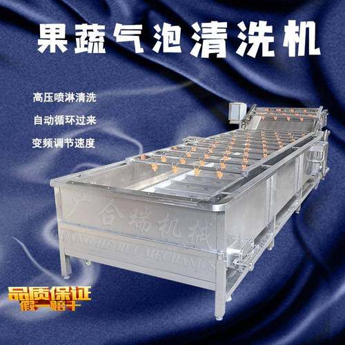 大枣辣椒果蔬气泡清洗机全自动洗菜机蔬菜臭氧去农残清洗机