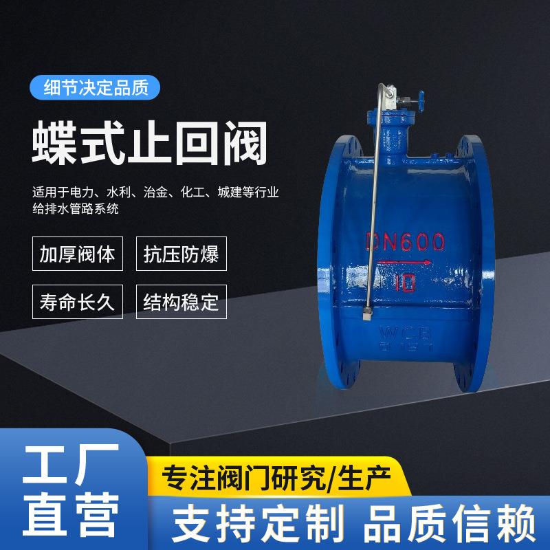 微阻蝶式缓闭止回阀HH49XHH47X铸钢球墨铸铁蝶式止回阀水利