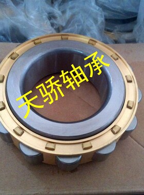 减速机轴承 RN205E RN206E RN307E RN309E RN312E RN219E  RN222E