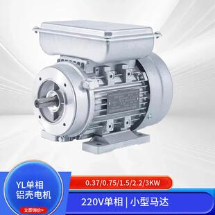 单相异步电机220V铜芯2800转0.75W工业设备电机马达
