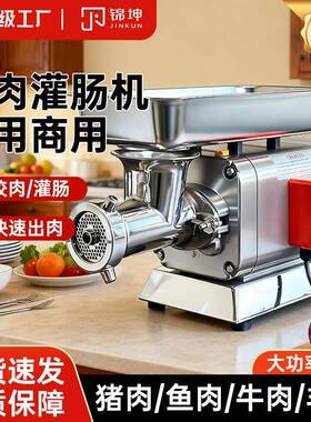 跨境绞馅机台式绞肉机商用大功率全自动灌肠搅馅碎肉机RY-12S