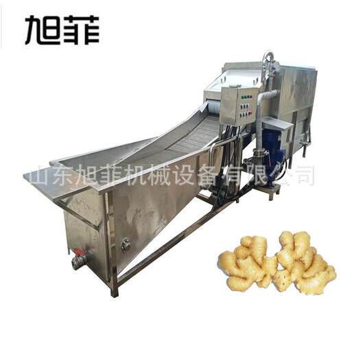 洗JLM机 生姜清洗淋设姜 备大姜清喷洗