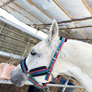 马笼头龙套缰绳耐磨纺织马笼头全套牵马绳马具马术用品马笼头套缰