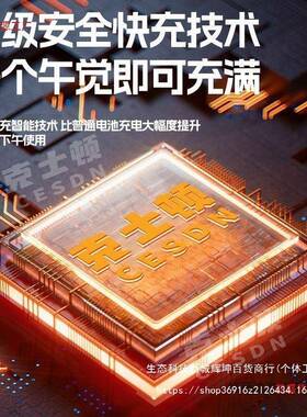 型德国锯充电式大功电率39621电链锯小多锂功能家用户外锯树砍树