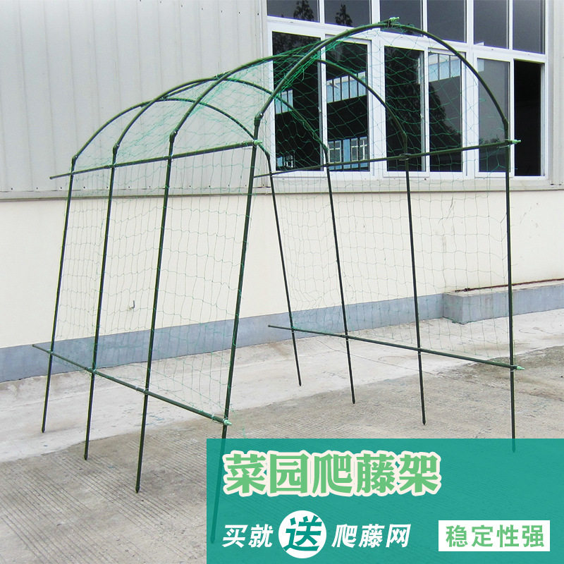 葡萄架花架园艺支架爬藤植物藤架黄瓜丝瓜百香果攀爬菜园种植架子