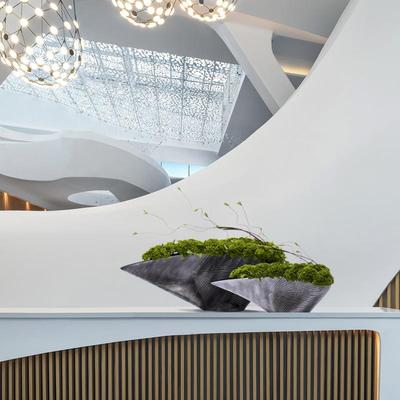 仿真绿色果子端YB-DZ-HY花艺插花酒摆店大高堂假绿植花卉设轻奢新