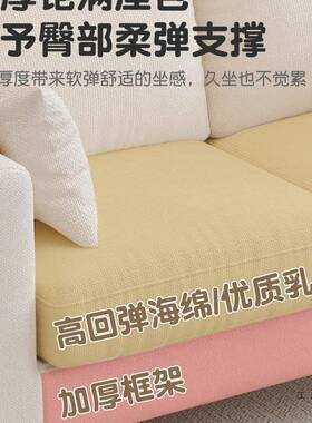 沙发客厅小户型新20ILJ25款租房出卧服装店公寓家用双三人布室艺