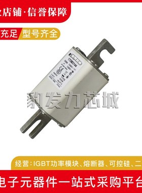 170M3108/3109/3110/3111/3112/3113/3114/3115/3116熔断器