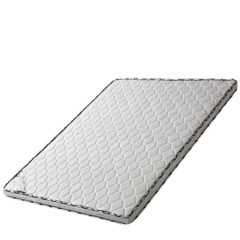 棕薄垫环椰保棕床双GN人1.5米加厚1.8m软硬棕榈席梦思款可垫折叠