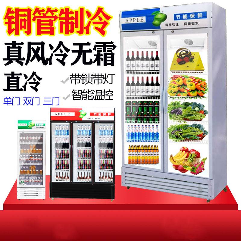 冷藏柜展示柜饮料啤酒柜商用铜管双门立式陈列柜保鲜柜水果蔬菜柜