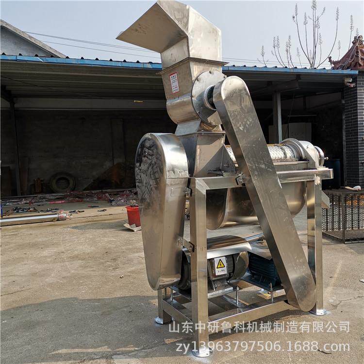 新鲜水DZC果工榨汁蓝莓生姜番压茄冷榨原汁机机大型果业蔬挤榨汁