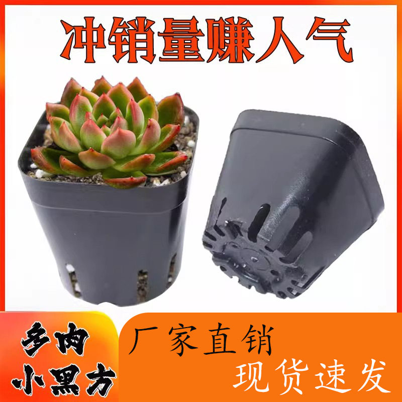 多肉小方盆 加厚小黑方 黑色育苗盆 多肉塑料花盆 6.5方7方10方