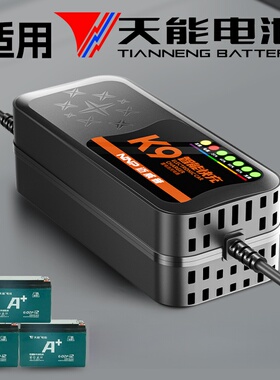 快充适配天能电池电动车电瓶充电器48V12AH60V20安72伏铅酸石墨烯