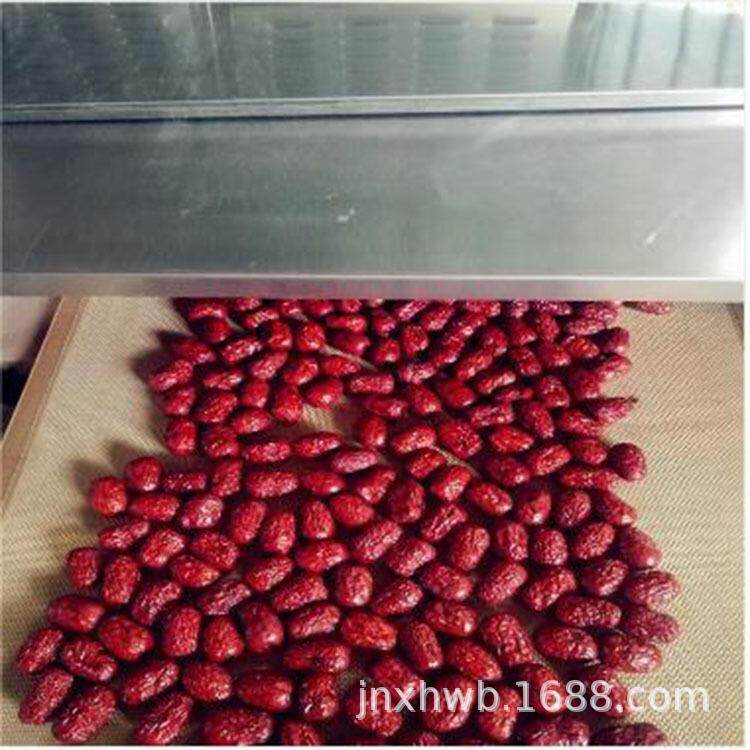葡萄干微波烘干机大枣花生核桃干果熟化干燥杀菌设备
