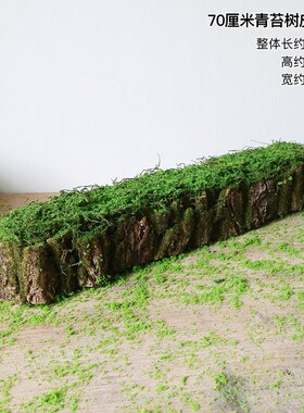 创意青苔树皮装饰摆件花器森系造景布置热带雨林场景搭配拍照道具