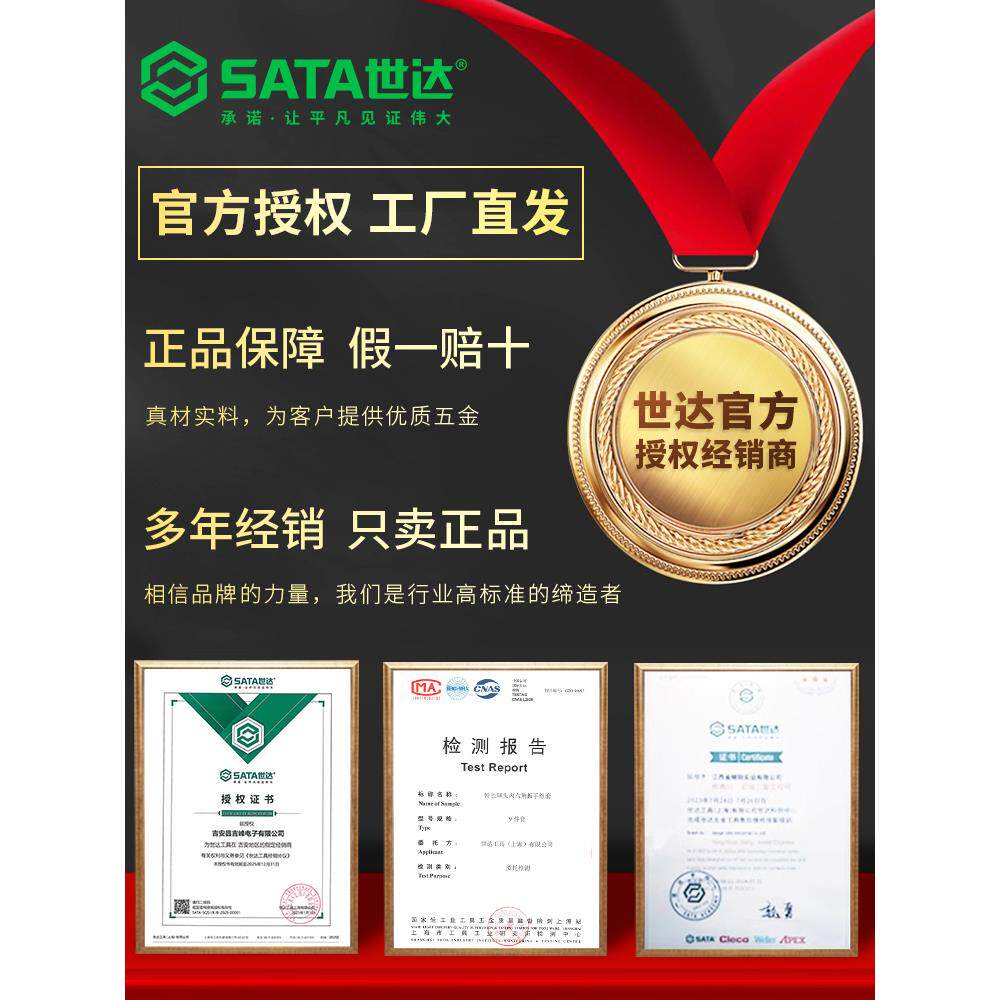 世达大力钳子多功能夹钳万用工业级尖嘴压力钳手动固定夹工具10寸