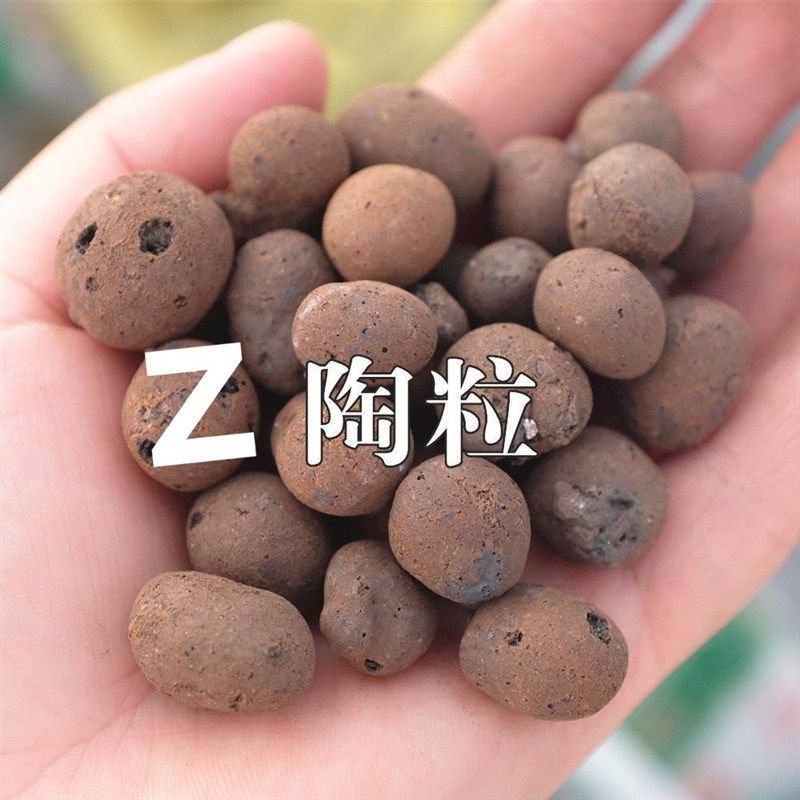 水培植物玻璃瓶透明直筒圆柱形花瓶简约绿萝白掌水养玻璃容器包邮