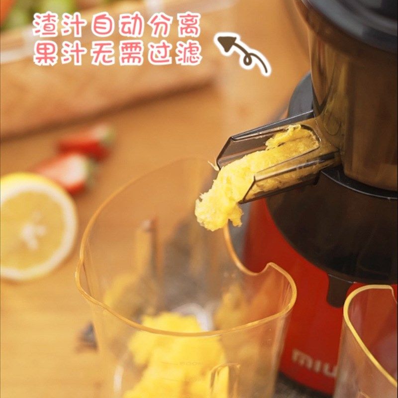 榨汁机家用渣汁分离果蔬原汁机多功能小型全自动炸果汁豆浆水果机