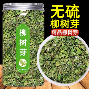 柳树芽柳叶茶饮柳芽新鲜采摘阴干品质清明晒干原生态2025新货传统