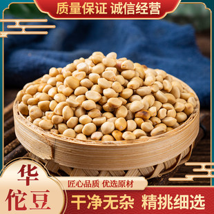 金丝指葫芦旗舰店跌打豆 华佗豆扣子豆种子贼佬豆新货包邮中药材
