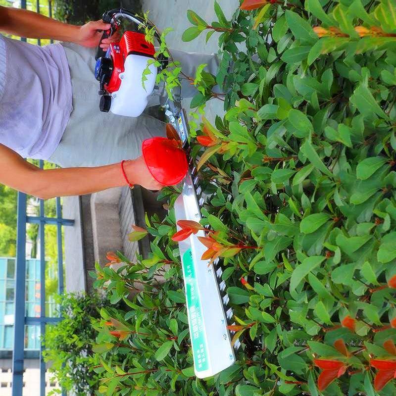 宽带绿篱篱剪2程灌木树油CAC林修剪机汽冲绿修剪机