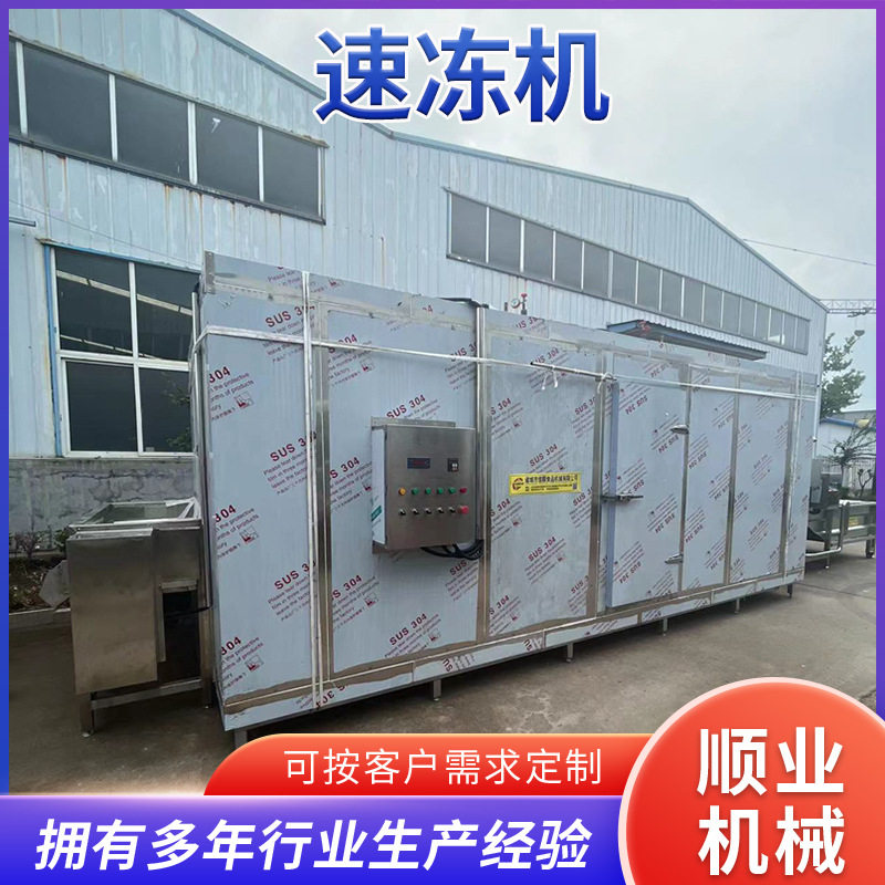 大型柜式速冻机海鲜海参冷冻设备黄桃果蔬速冻柜龙虾尾速冻流水线
