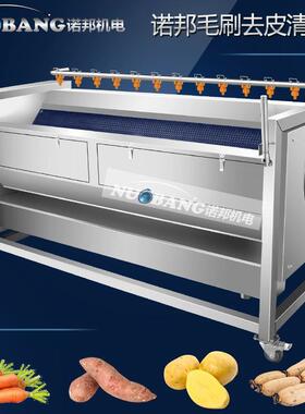 根生姜毛去皮清辊IIX洗机去茎类蔬菜皮式清洗机鲜姜小型毛刷清洗
