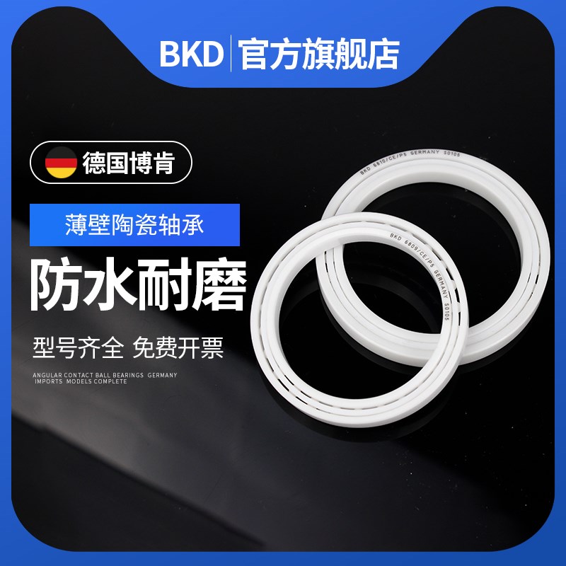 德国BKD进口全陶瓷轴承16010CE/16011 16012 16013高速耐高温轴承