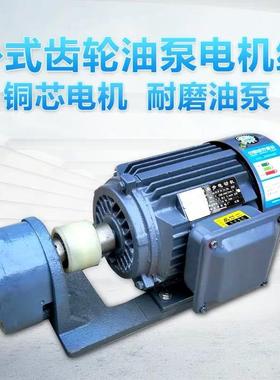 WBZ5-6/25/20/32JRKZZ卧式1齿轮油泵电机组装置WBZ2-16/2/321.1KW