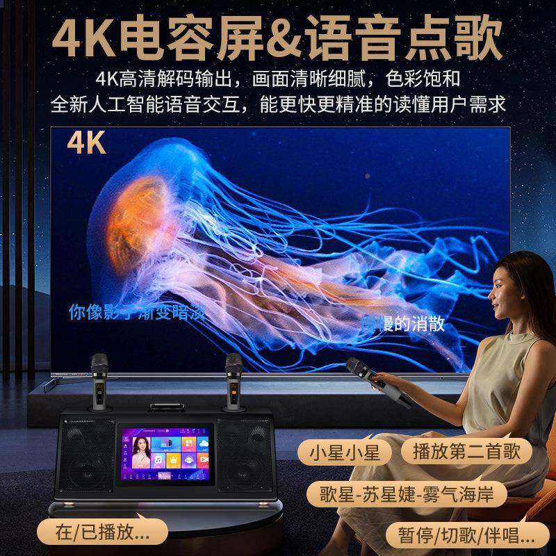 家歌庭KT音响套装VK歌带屏幕用点机家音箱功放一体DLX机点歌多功