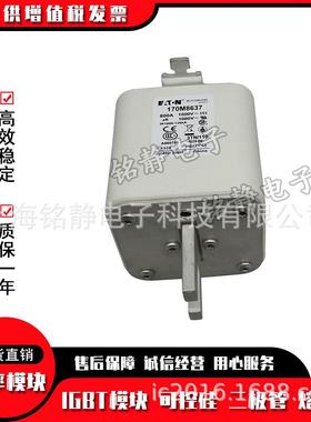 170M862317088624170M8625M170M626巴斯曼熔断器现货1DKS70M6827