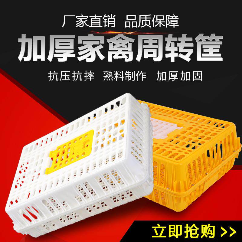 鸡方笼周转箱成鸡鸭鹅输加厚塑料长形鸡笼笼子特大号运家禽RXF鸡