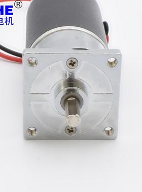 马达永磁12LPM直v2v微型流小减速电4机钢齿高寿命低噪有刷直流电