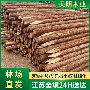 松木林直销落叶松湿地松打桩木桩道河防场汛111木桩工地建筑水利
