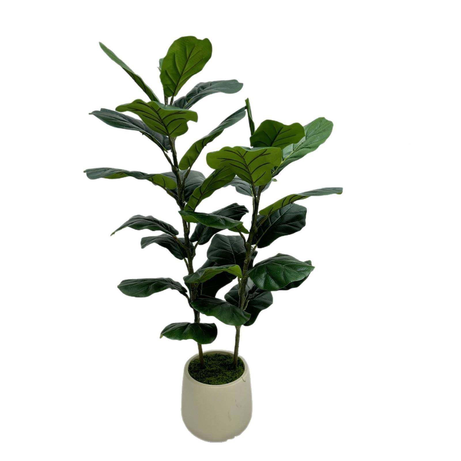 绿假植大装型琴叶榕客厅绿植件UJO盆栽树花树仿生饰摆拆装