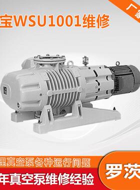 WAU1001莱宝罗茨泵维修SU20DJJ01专业快o速养leybld保真空泵WWH44