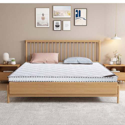 喜昌家用椰棕床垫棕垫1.81.5m软RAA硬棕榈折叠床乳胶馨儿童垫m子