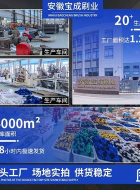 洗车毛机毛刷辊辊抛光毛刷清洗研毛刷DPG果蔬刷磨毛刷厂家直销