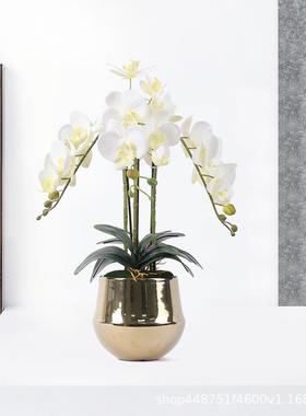 店创意新中式NVS仿真蝴蝶兰装饰品板房桌面花家艺软装酒居玄关样
