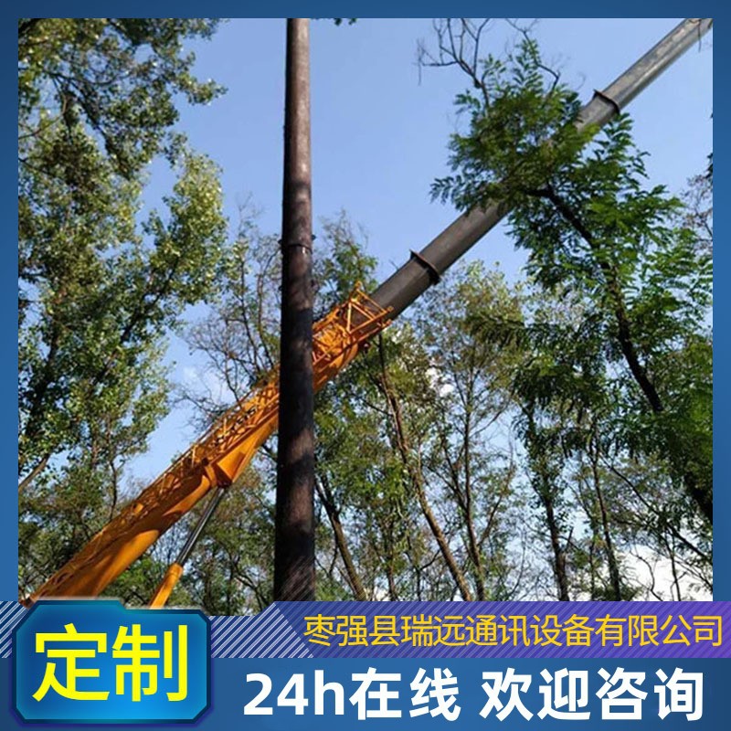 瑞远铁塔厂家 仿真松树 装饰城市美化仿生树 景区公园仿生树塔