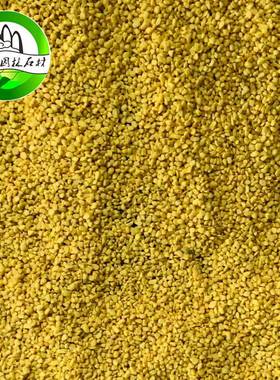 国石黄色石姜米中黄石米鹅卵石雨花石黄黄色石米色透水炫彩路面石