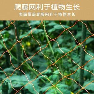 室小拱棚支防多功能蔬菜种植XGW架蔬菜架棚骨架杆雪防冻保温温棚