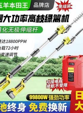 进口智能变速电动XJB高剪枝修机加长杆修剪杆机大伸功率苗木缩绿