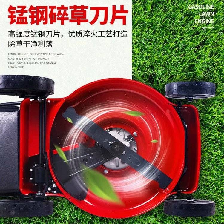 公路马路边坡杂草修剪机 草坪割草机 手提式汽油花园除草机