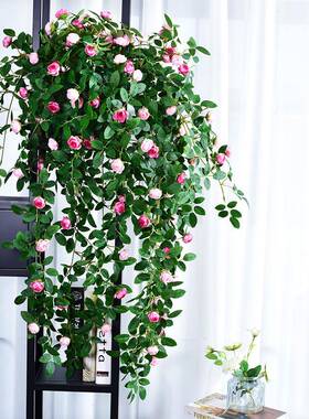 气绿IZO植假藤蔓花蔷园薇花玫瑰月季花壁挂暖管道遮挡阳台花装饰