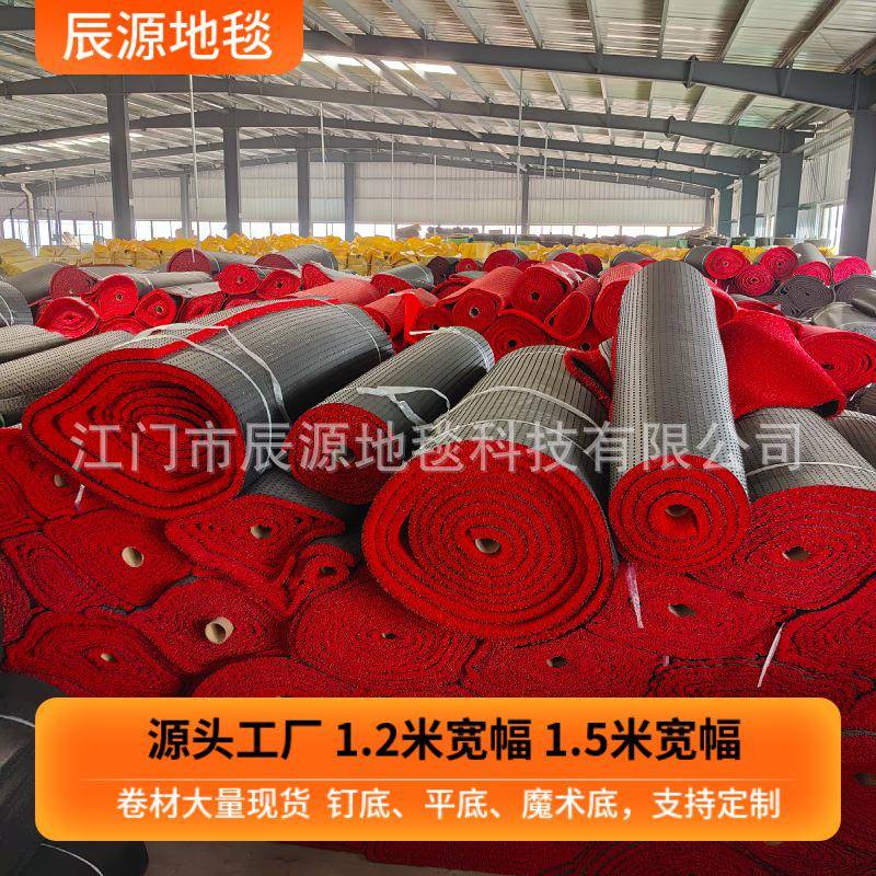 密pvc钉底丝圈加丝圈地毯门喷丝卷材垫汽车脚垫通用入户口垫防滑